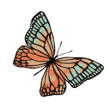 Illustration of a watercolor butterfly with a black outline.