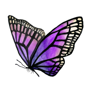 Illustration of a watercolor butterfly with a black outline.
