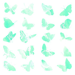 Isolated illustration of an animal on a white background.