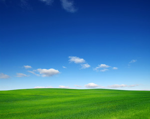  field and sky