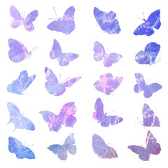 A set of animal images are insulated in blue and pink tones on a