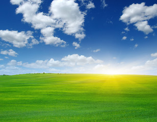 Green field and sun.