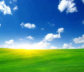 Green field and sun.