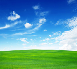  field and sky