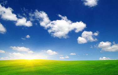 Green field and sun.