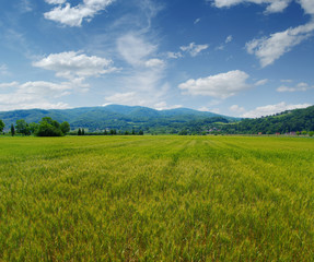 Mountain landscape summer