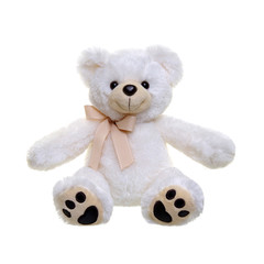 Teddy bear on a white