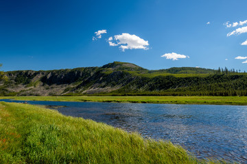 Madison River, Yellowstone National Park, Wyoming