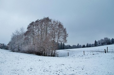 Winterliche Landschaft