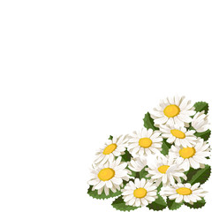 Flowers of chamomile, bouquet. Angular element for congratulations, banners, postcards. Vector illustration.