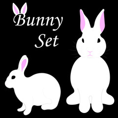 Two types of bunny on black background.