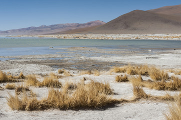 Laguna y Termas de Polques hot spring pool with Salar de Chalviri in background, Salar de Uyuni,...