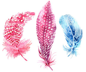 Set of watercolor boho feather illustrations.