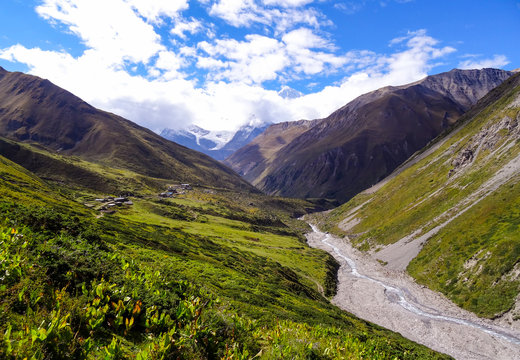 Bright green grassed valley with a river running towards an iced mountain