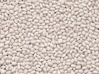 a crop of beans close-up.