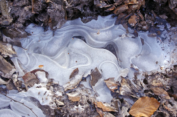 Motifs de glace