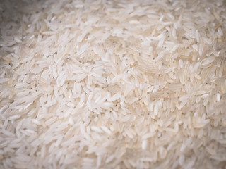  the rice grains. closeup