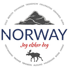 Norway grunge button