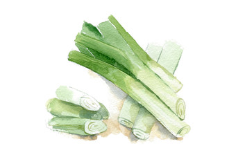 Watercolor illustration of a painting technique. Fresh organic food. Provencal style. Leek. Onion.