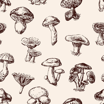 Seamless background of the edible mushrooms