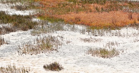 beautiful Salt meadow in Velddrift South Africa