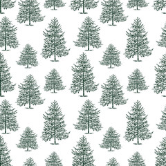 Seamless background of the fir trees
