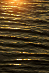 Dark water surface with sunlight.