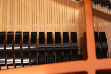 white piano hammers, strings building acoustic Grand piano