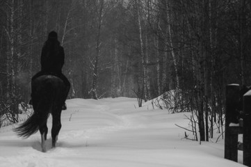 Female rider and horse in the open air. portrait of a beautiful young woman with her stallion, outdoors in winter