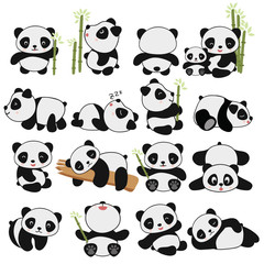 hand drawing cute panda with a lot of variation - obrazy, fototapety, plakaty