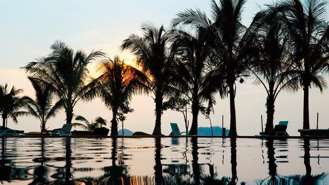 Swimming pool in tropical hotel resort with coconut palm trees landscape at sunset