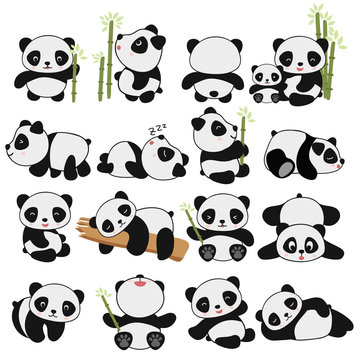 Panda Stickers Images – Browse 10,156 Stock Photos, Vectors, and Video |  Adobe Stock