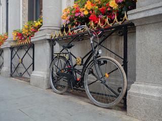 Fototapeta na wymiar Bicycle and Flower Window Boxes London