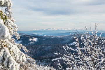 Velka Raca - Slovakia