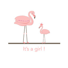 Flamingos baby shower. It's a girl baby shower greeting card with flamingo birds