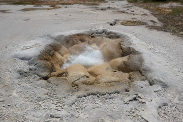Hot thermal spring in Yellowstone
