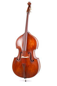 Double bass on white background