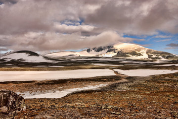 Countryside in Dovrefjell National Park, Norway