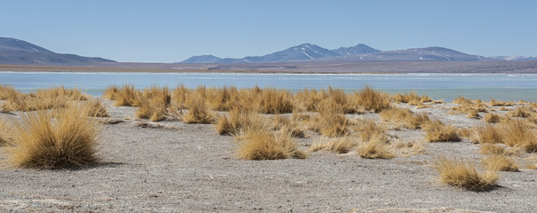 Laguna y Termas de Polques hot spring pool with Salar de Chalviri in background, Salar de Uyuni, Potosi, Bolivia - South America	