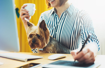 graphic designer working at office with digital stylus on background monitor computer, smile hipster manager using pen with dog, hands graw on portable tablet, jorkshire terrier looking work process