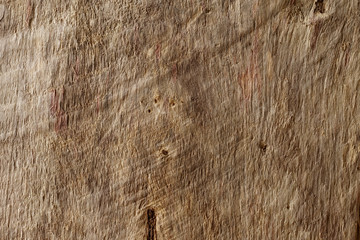 Rough wooden surface close up