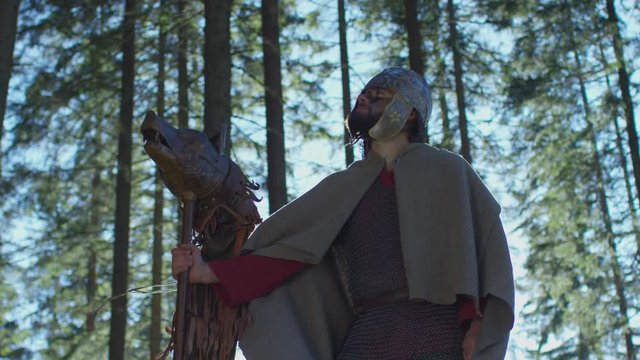 Warrior with the Dacian Draco