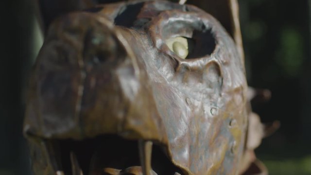 Close up of the Dacian Draco