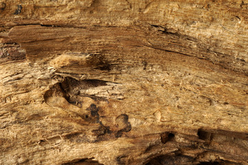 Rough wooden surface close up