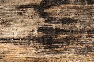 Rough wooden surface close up