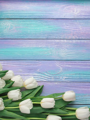 Spring white tulips flower on color wooden background. Tulip, gardening concept. Top view, copy space for your text.