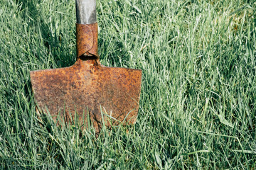 A shovel in the grass