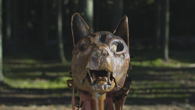 Close up of the Dacian Draco 