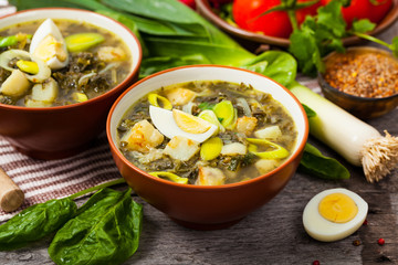 Green Russian Potato, Spinach, and Sorrel Soup with egg. Selective focus.