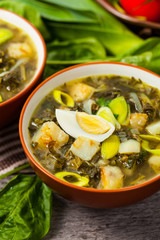 Green Russian Potato, Spinach, and Sorrel Soup with egg. Selective focus.
